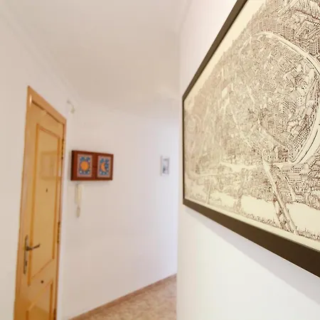 Global Properties, Frente A La Nau En *